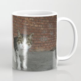 Here puss  Coffee Mug