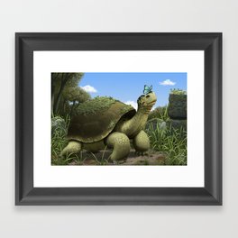 Tortoise Framed Art Print