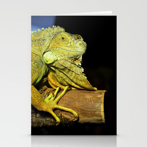 Green iguana Stationery Cards