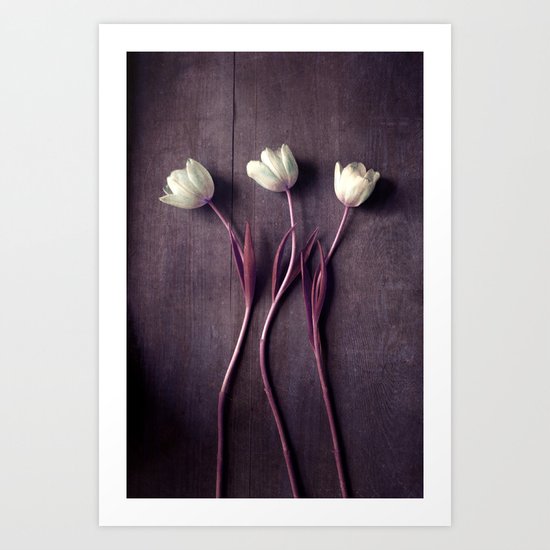 Tulip Dance Art Print