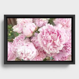 Pink Shabby Chic Peonies - Garden Peony Flowers Wall Prints Home Decor Framed Canvas