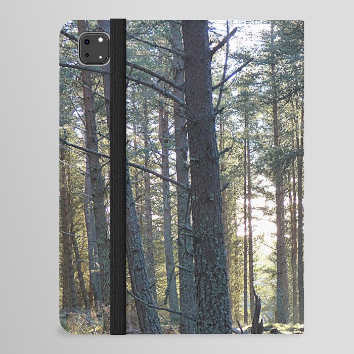 Winter Woodland Sun iPad Folio Case