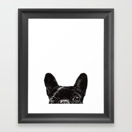 Peeking French Bulldog Framed Art Print