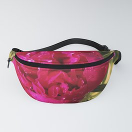 Peony blossom, beautiful purple garden flower, petals with raindrops, green backdrop, spring photo Fanny Pack