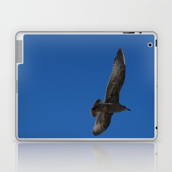 Flying Hawk Laptop & iPad Skin
