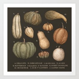 Pumpkins and Gourds Art Print