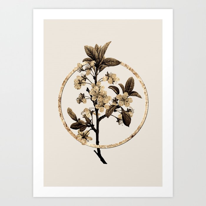 Gold Ring White Plum Flower Glitter Botanical Illustration Art Print by ...