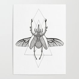 Stag Beetle Poster