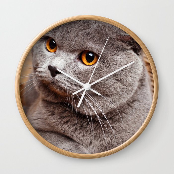 Closeup British Shorthair Cat Yellow Eye Wall Clock