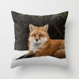 Artic Fox Throw Pillow