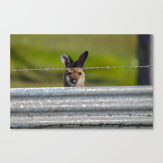 Can I come in? Canvas Print