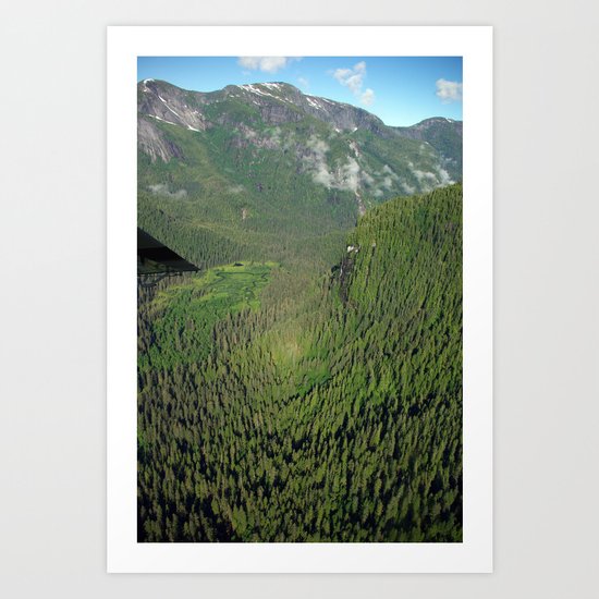 Another Kind of Rainforest Art Print