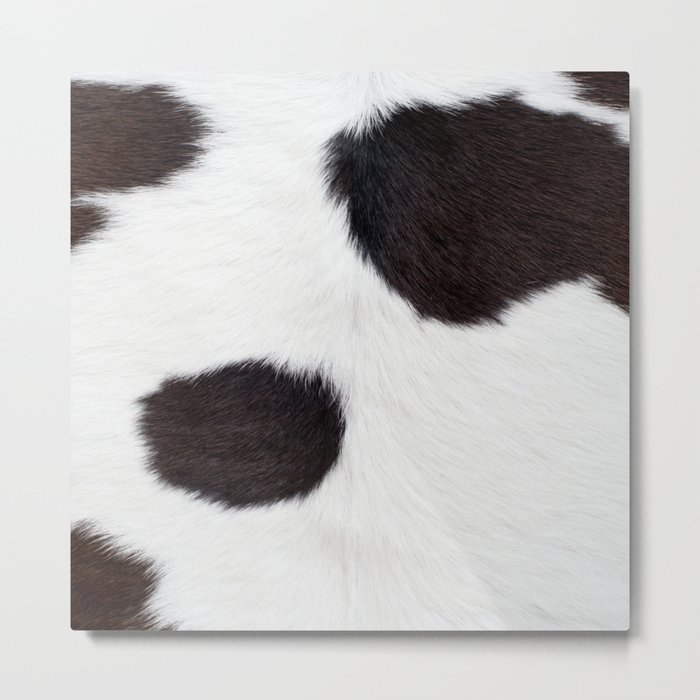 Black Cowhide, Cow Skin Print Pattern Metal Print