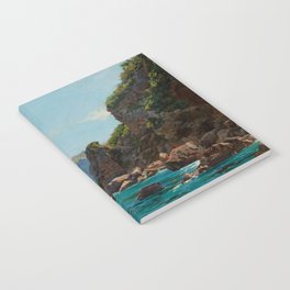 coral beach Notebook