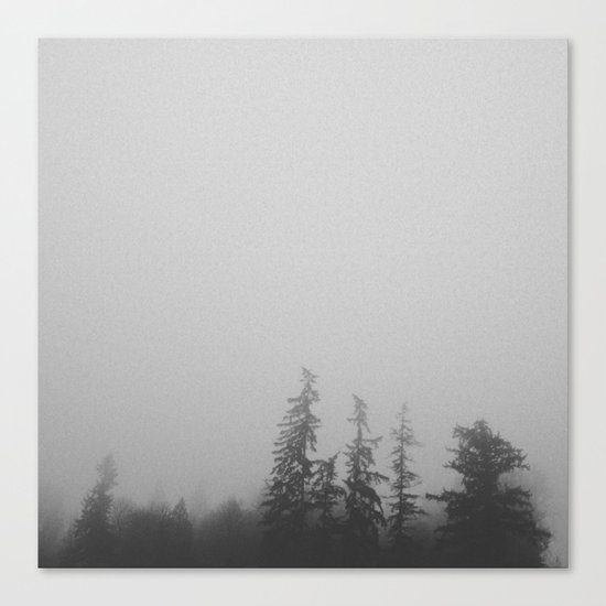 Dense Fog Canvas Print
