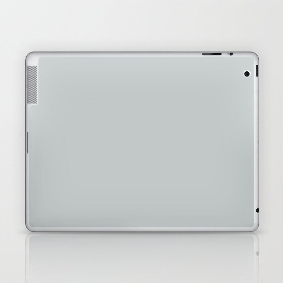 Dusky Dolphin Gray Laptop & iPad Skin