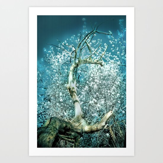 Branch and Blossom Art Print