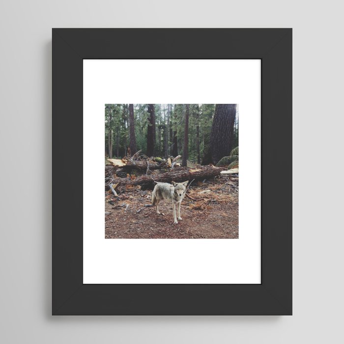 Framed Art Print