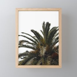 Palm Tree | Greens | Turkey Istanbul | Travel photography Framed Mini Art Print