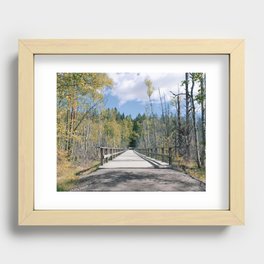 Into The Forest Recessed Framed Print