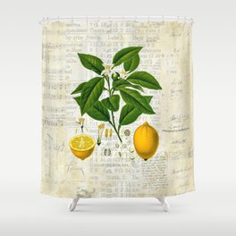 Lemon Botanical print on antique almanac collage Shower Curtain
