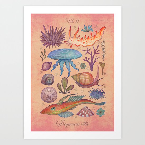 Aequoreus vita II / Marine life II Art Print