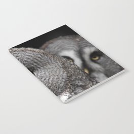 Great Grey Owls  Notebook