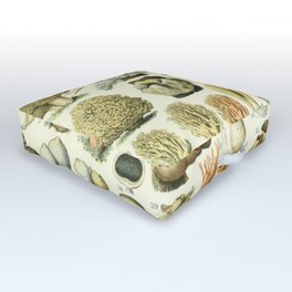 Mushrooms by Adolphe Millot Outdoor Floor Cushion