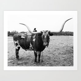 Texas Longhorn Black and white Texas Photography Art Print