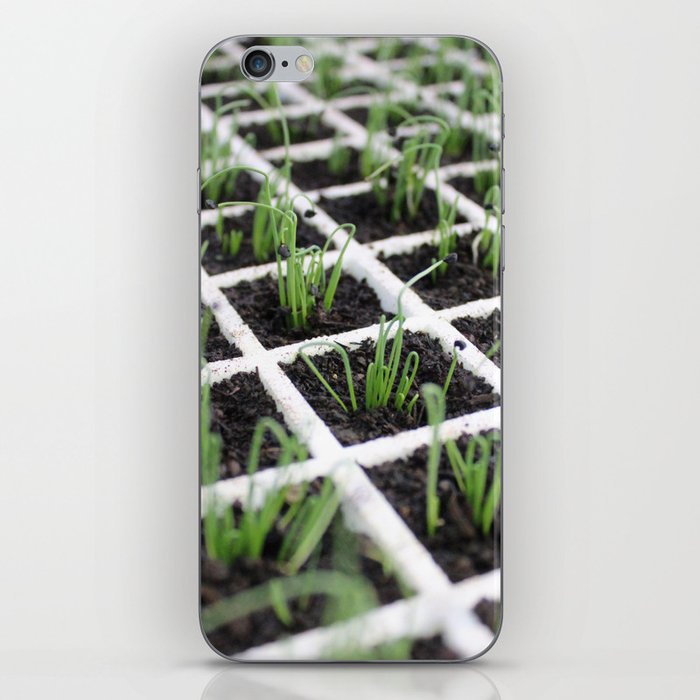 Brazil Photography - Tons Of Planted Chives iPhone Skin