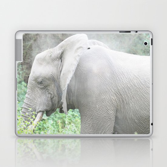 Dust bath Laptop & iPad Skin