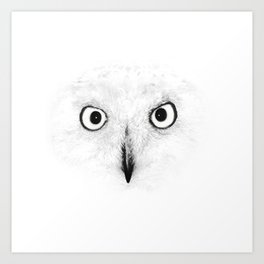 The Owl Art Print