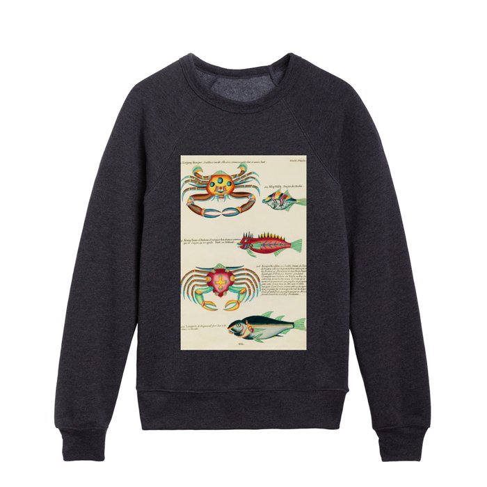Colourful and surreal illustrations of fishes found in Moluccas (Indonesia) and the East Indies from Histoire naturelle des plus rares curiositez de la mer des Indes Kids Crewneck