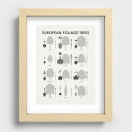 Identification Chart for European Foliage Trees Recessed Framed Print