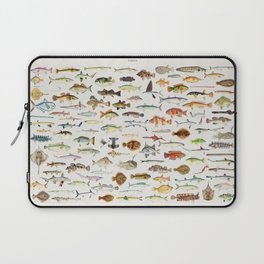 Illustrated Colorful Southern Pacific Exotic Game Fish Identification Chart Laptop Sleeve