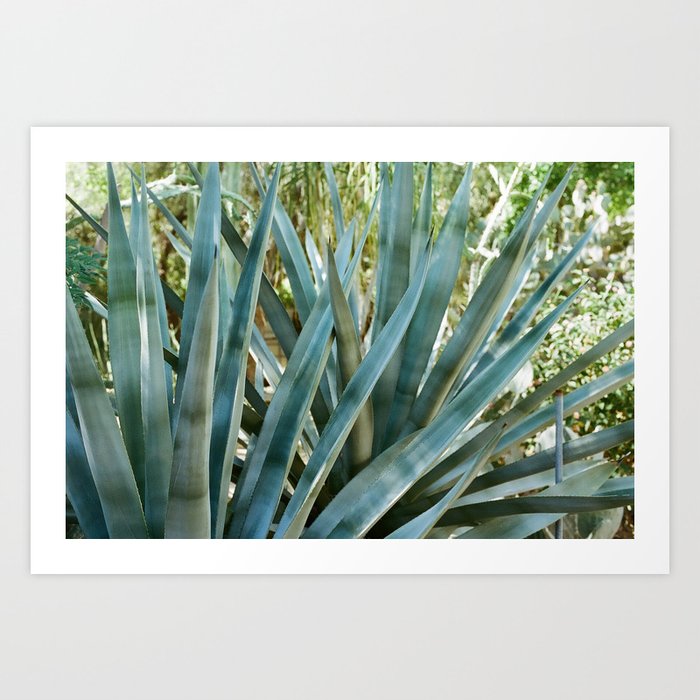 Blue Agave Art Print by Daphnie | Society6