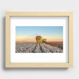 Cotton field harvest  Recessed Framed Print