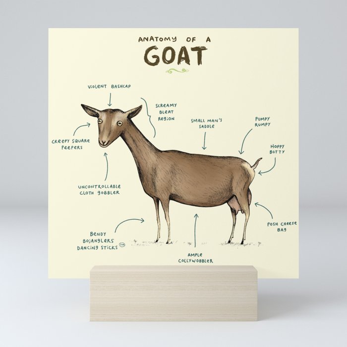Anatomy of a Goat Mini Art Print