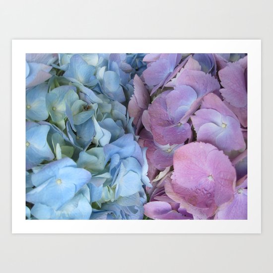 b&p flowers Art Print