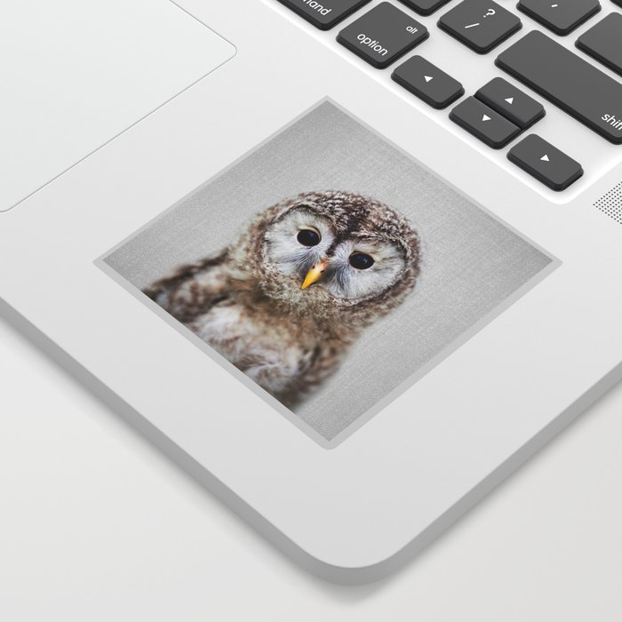 Baby Owl - Colorful Sticker