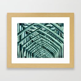 Bridge Ribs II Framed Art Print