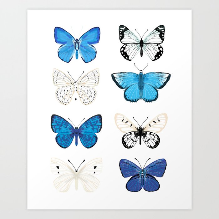 Butterflies - blue and white, butterfly art, blue and white art, butterfly sticker, butterflies Art Print