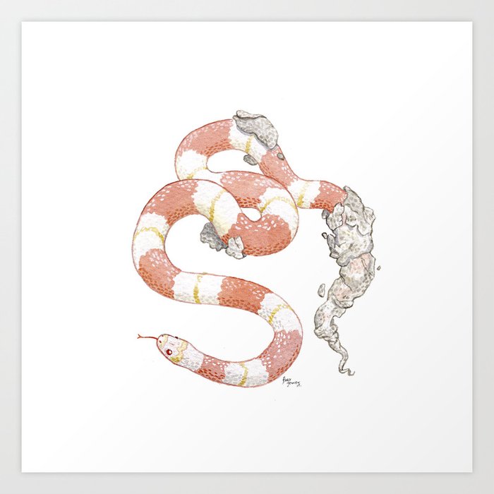 snake Art Print
