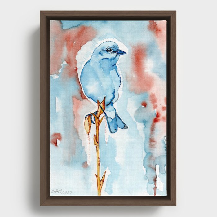 Morning Blue Bird Framed Canvas