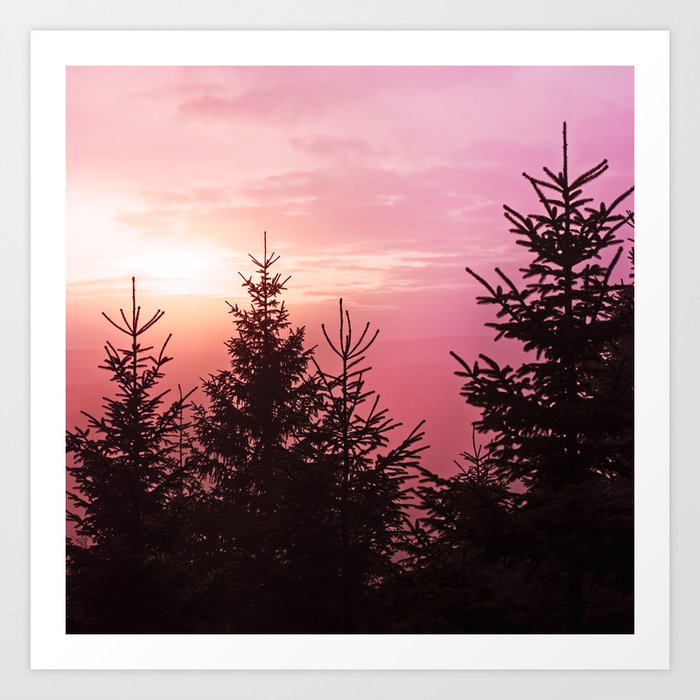 The New Romantic // Sunrise Raspberry Foggy Fairytale Forest With Trees Covered In Magic Fog Art Print