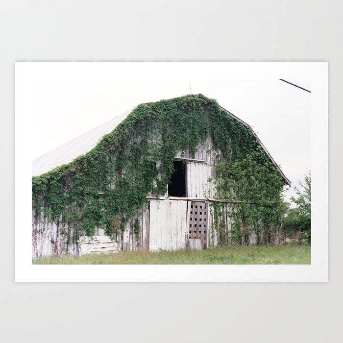 barn covered in greenery Art Print