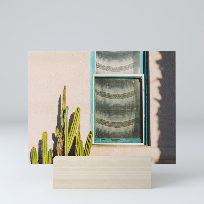 Cactus and Window Mini Art Print