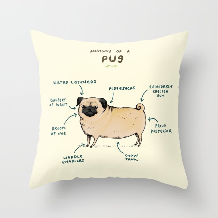 Throw Pillow