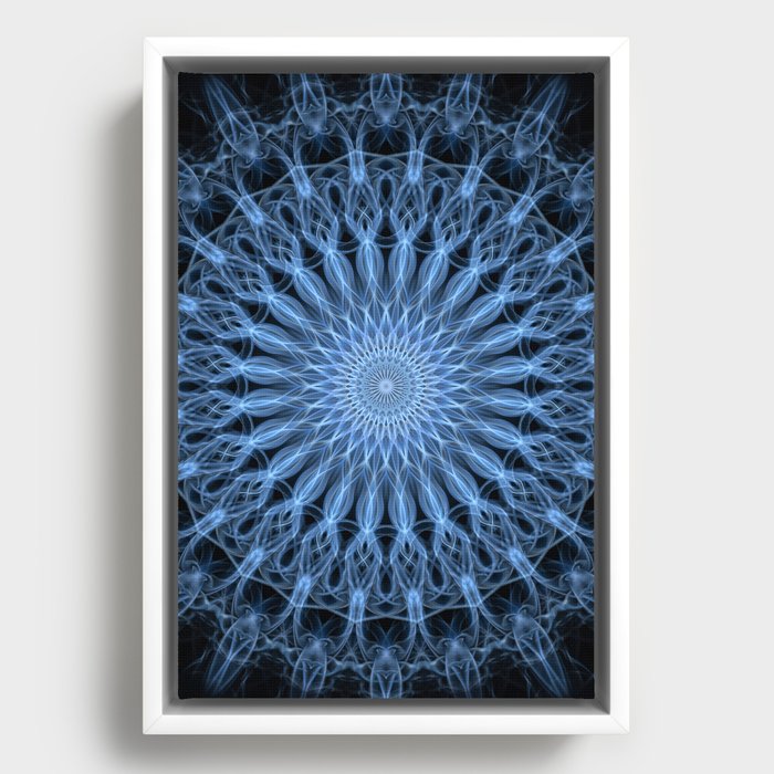 Framed Canvas