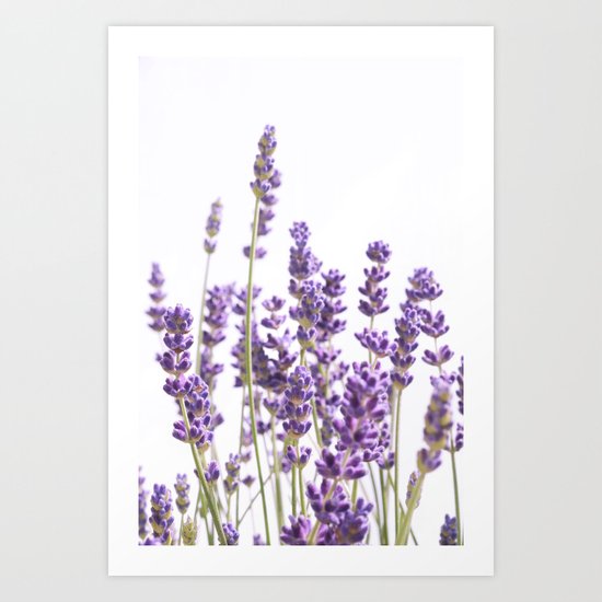 Purple Lavender #1 #decor #art #society6 Art Print